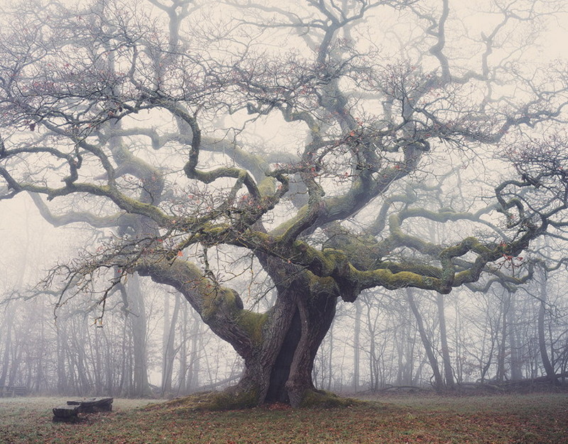 Модель из Костромы стала самой красивой девушкой на Руси