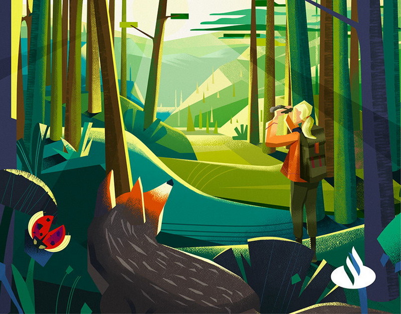 Не смог бы играть в мою эпоху. Экс-игрок НБА раскритиковал Карри за любовь к трёхочковым